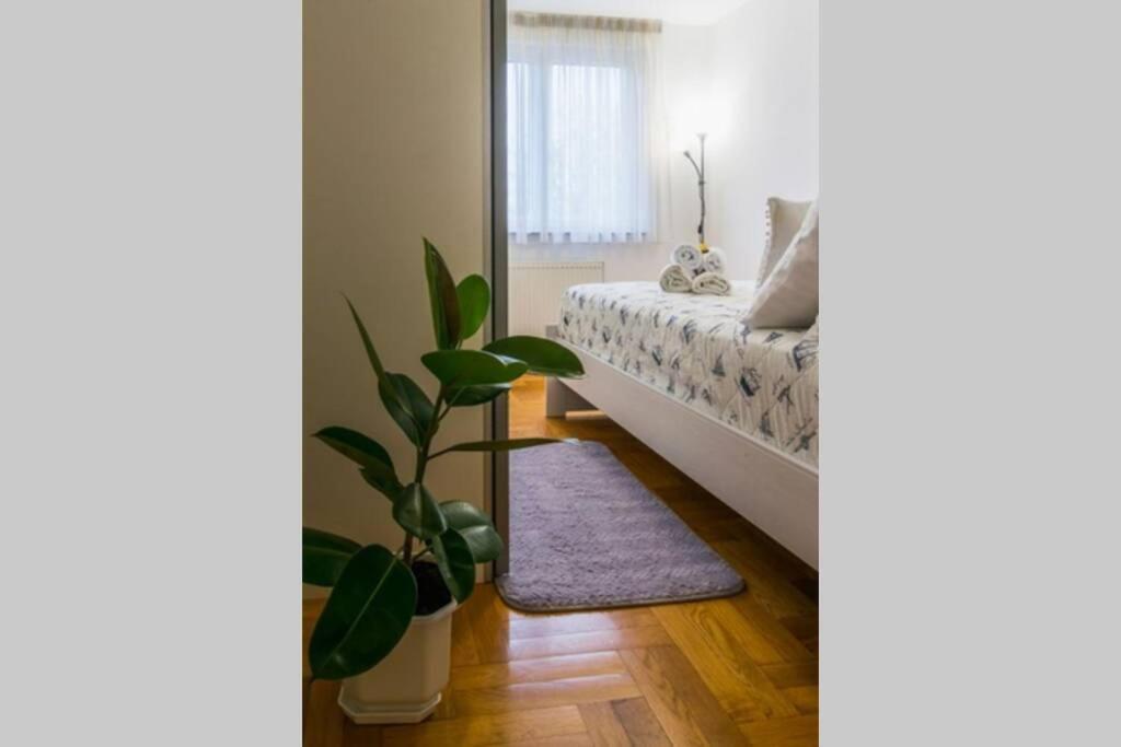 Apartman Jarun Brac